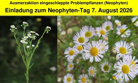 Neophyten-Ausmerzaktion 07.08.2026